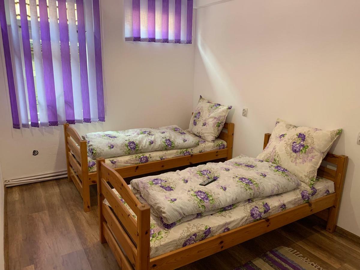 Pensiunea Casa Maria Cluj-Napoca Eksteriør bilde